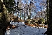 25 Faggi secolari e caratteristiche formazioni rocciose